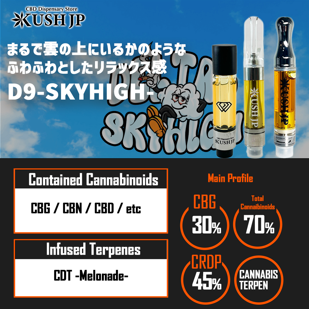 D9SKYHIGH　LP1リラックス感